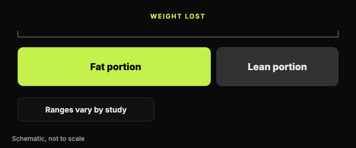 An abstract stacked bar diagram showing weight lost divided into a fat portion and a lean portion, with a note that ranges vary by study