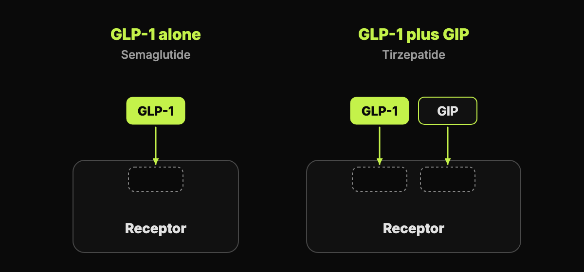 An abstract diagram with two shapes: one receptor docking a single GLP-1 key, the other docking both a GLP-1 key and a GIP key